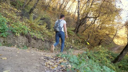 Young Man with a Backpack Walks Along a Forest Trail in Autumn Back View