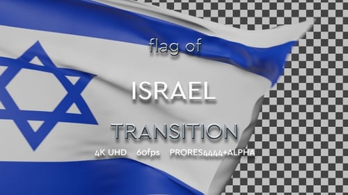 Waving Israel Flag 3D Animation With Alpha
