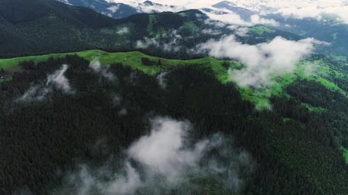 Flying Through the Clouds Above Mountain Tops. High Peaks with Forest, Wonderful Natural Landscape