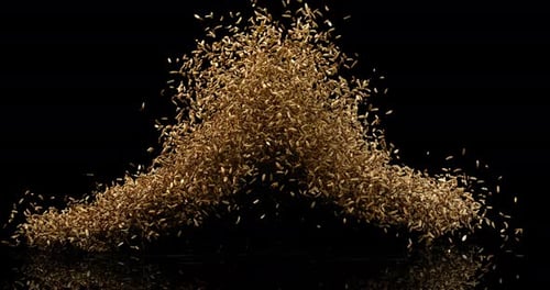 Seeds of Fennel, foeniculum vulgare Exploding against black Background, slow motion 4K