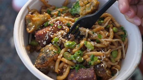 Close Up Bowl of Tofu and Noodles