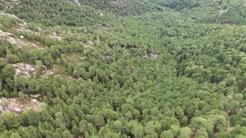Aerial View of Rocky Mountain Valley and Summer Landscape of Nature