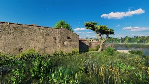 Old Broken House In Forest