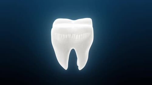 Whitened Looking Dental Tooth Rotating Hd