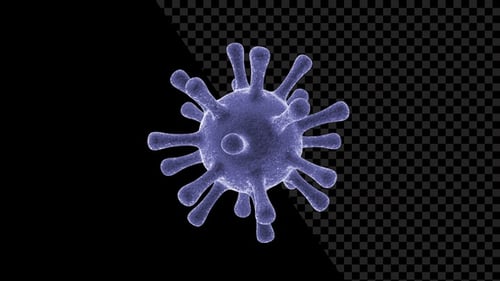 Covid 19 Corona Virus V6