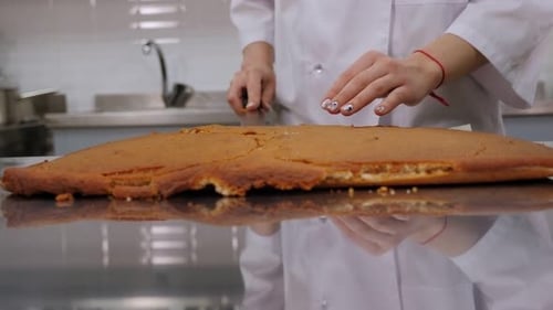 Close-up of a Pastry Chef Cuts a Round Shape From a Biscuit Dough for a Cake.
