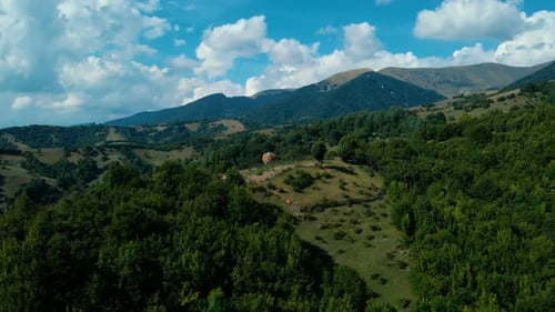 Forêt
