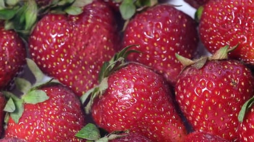 Close Up of Fresh, Ripe, Red Strawberries