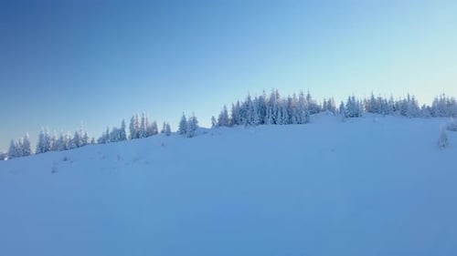 Flying Over the Forest and Mountains in Winter