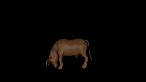 Old Wood Bull transparente Alpha-Schlaufe