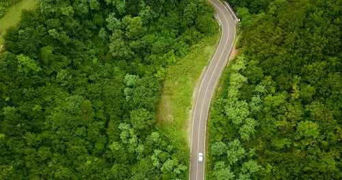Curve Black Asphalt Road With White SUV Cars In Mountain Forest Green Highland With White Lines Beau