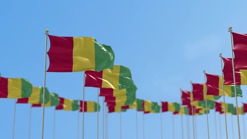 Guinea National Flag Waving in Blue Sky Loop