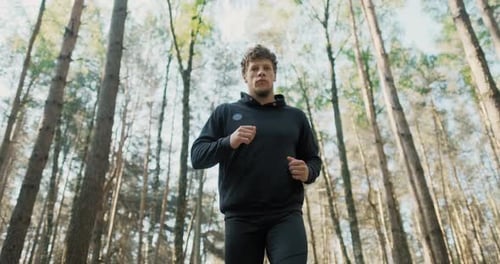 Slow Motion Shot of Man Running Through Pine Forest on Path in Woods. Runner Training Fitness