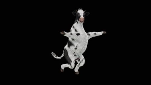 Dancing Black and White Cow Character Animation