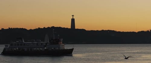 Seagull flying over a city port, with a ship and a coast hill in the background