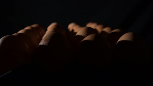 Braune Eier in Reihe kreisend