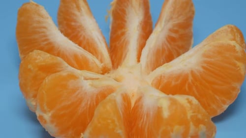 Tangerine Slices Rotate in a Plane
