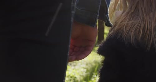 Child and Adult Walk Hand in Hand in Forest