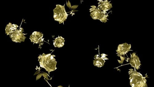 Golden Roses - Falling Loop