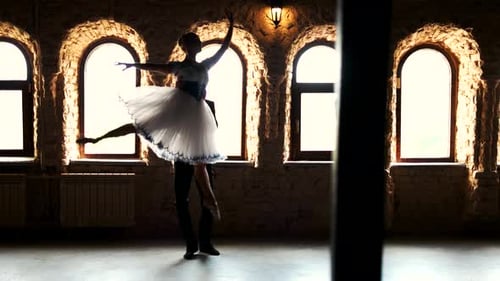Couple Dancing Ballet Dance at Modern Studio