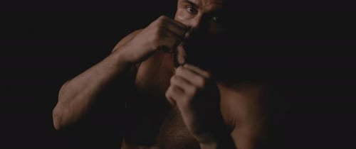Fighter