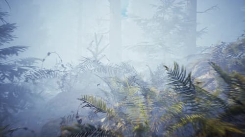 Scary mystical dark foggy forest in motion Flythrough animation 4K