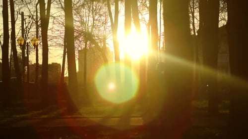 Landscape City Park Sun and People Unrecognizable Slow Mo