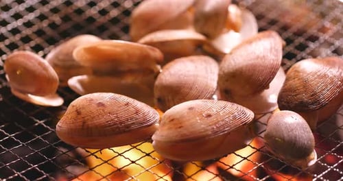 Palourdes fraîches sur un filet métallique grillé au barbecue