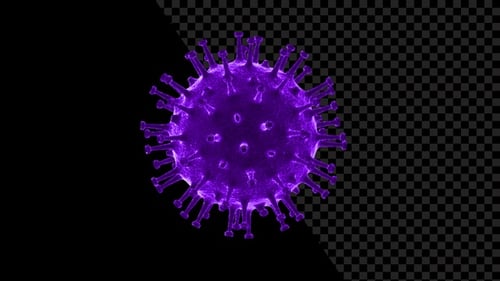 3D Rendering of a Rotating Purple Virus Cell