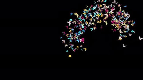 Colorful Butterflies Flying Swarm Animation