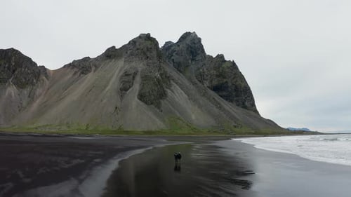 Drone Of Men Walking Along Black Beach To Vestrahorn Mountain