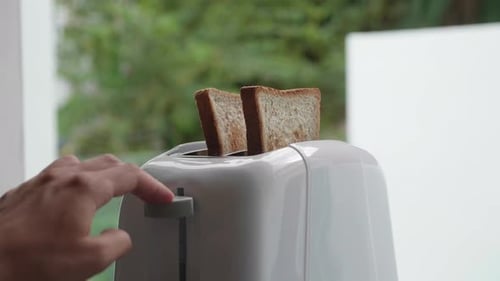 Bread toasting in white toaster