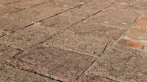 Close-Up of a Brick Paved Street