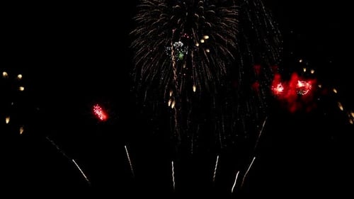 Vibrant Fireworks Exploding in the Night Sky