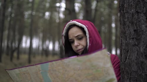 A Traveling Woman with Map in Woods