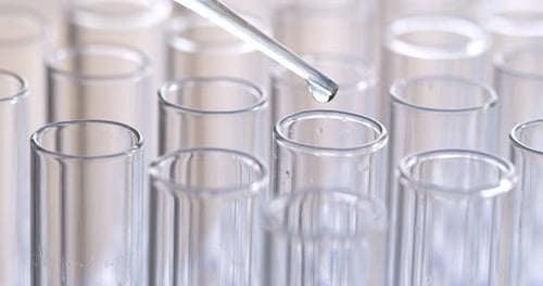 Pipette Adding Liquid to Test Tubes in Lab