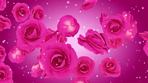 Red Roses Background