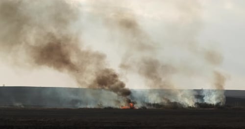 Dry Grass on Lanes and Forest in Fire, Firefighters at Work, Disaster, Ecological Catastrophe
