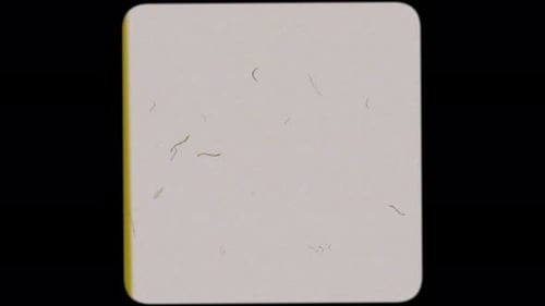 Old film tape Square Frame and grain noise