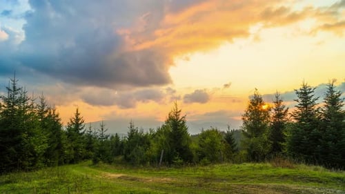 The Mountain Forest on Background of Sunset