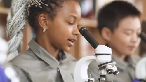 Lesson in a Modern School, Kids Look at Microscopes and Communicate in a Chemistry Lesson
