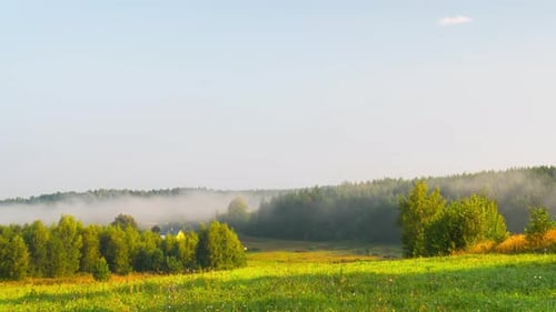 Morning mist in the valley