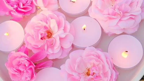 Velas de flores.vela rosa.Aromaterapia e spa