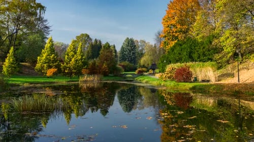 Autumn landscape in the city park.