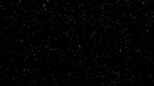 Snow Flurries Falling on Black Background