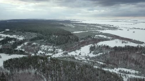 Winterlicher Wald