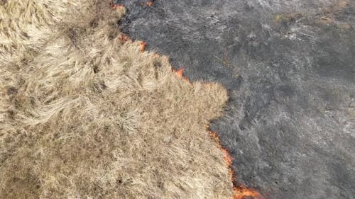 Aerial View of Grassland Field Burning with Red Fire During Dry Season