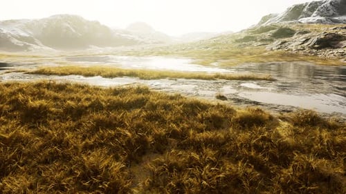 Grassland on Mountains in Autumn