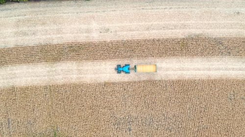 Aerial Shot of Tractor Transporting Corn Cargo Along Field During Harvesting