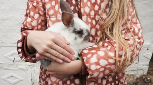 Young Girl Comforts White and Grey Bunny